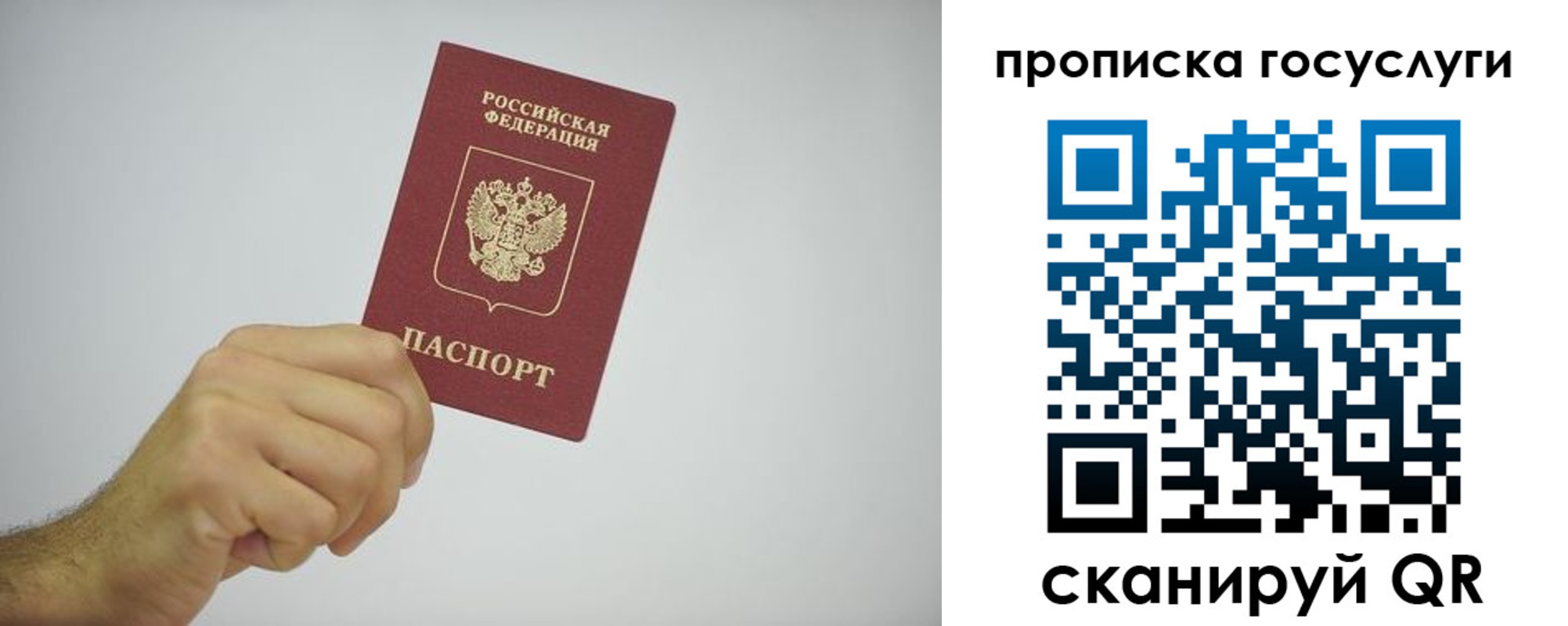 временная регистрация гарантия в Твери